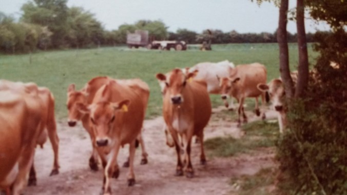 IMG_20170729_180008815